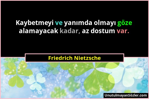 Friedrich Nietzsche - Kaybetmeyi ve yanımda olmayı göze alamayacak kadar, az dostum var....