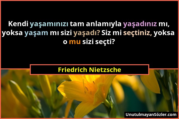 Friedrich Nietzsche - Kendi yaşamınızı tam anlamıyla yaşadınız mı, yoksa yaşam mı sizi yaşadı? Siz mi seçtiniz, yoksa o mu sizi seçti?...