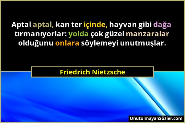 Friedrich Nietzsche - Aptal aptal, kan ter içinde, hayvan gibi dağa tırmanıyorlar: yolda çok güzel manzaralar olduğunu onlara söylemeyi unutmuşlar....