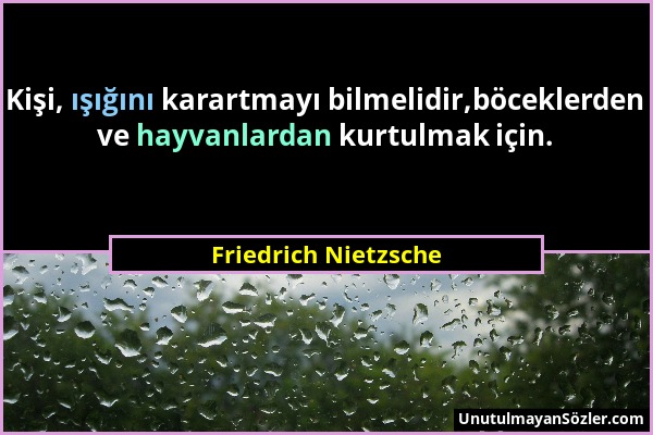 Friedrich Nietzsche - Kişi, ışığını karartmayı bilmelidir,böceklerden ve hayvanlardan kurtulmak için....