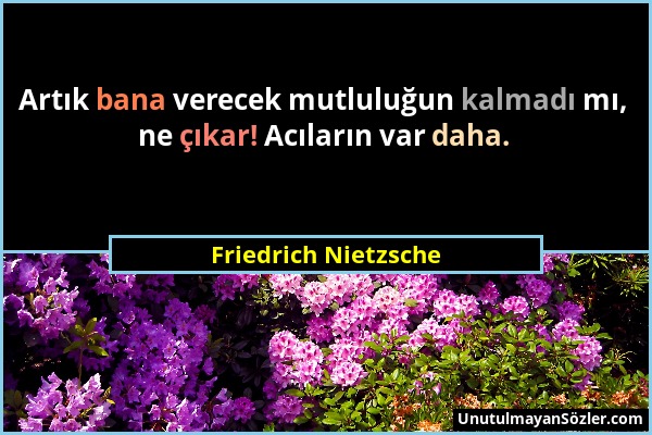 Friedrich Nietzsche - Artık bana verecek mutluluğun kalmadı mı, ne çıkar! Acıların var daha....