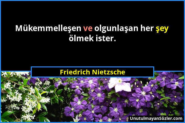 Friedrich Nietzsche - Mükemmelleşen ve olgunlaşan her şey ölmek ister....