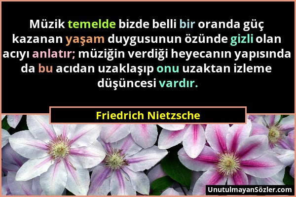 Friedrich Nietzsche - Müzik temelde bizde belli bir oranda güç kazanan yaşam duygusunun özünde gizli olan acıyı anlatır; müziğin verdiği heyecanın yap...