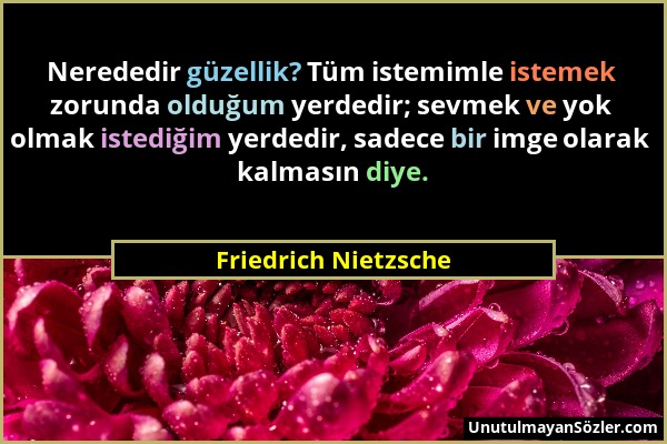 Friedrich Nietzsche - Nerededir güzellik? Tüm istemimle istemek zorunda olduğum yerdedir; sevmek ve yok olmak istediğim yerdedir, sadece bir imge olar...