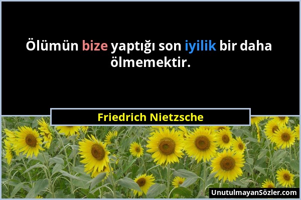 Friedrich Nietzsche - Ölümün bize yaptığı son iyilik bir daha ölmemektir....