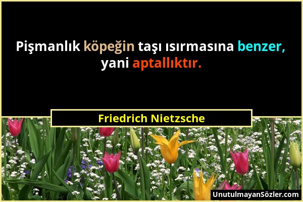 Friedrich Nietzsche - Pişmanlık köpeğin taşı ısırmasına benzer, yani aptallıktır....
