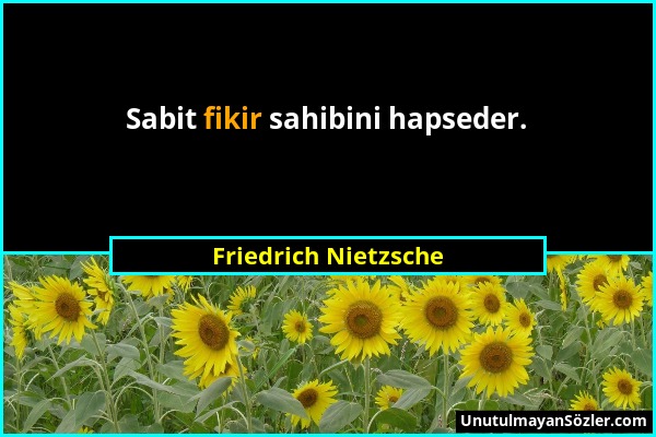 Friedrich Nietzsche - Sabit fikir sahibini hapseder....