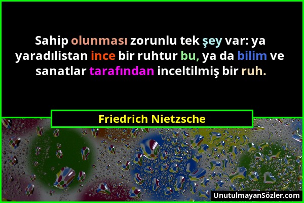 Friedrich Nietzsche - Sahip olunması zorunlu tek şey var: ya yaradılistan ince bir ruhtur bu, ya da bilim ve sanatlar tarafından inceltilmiş bir ruh....