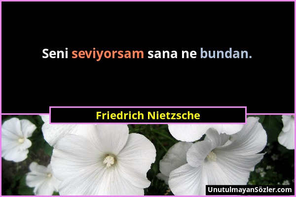 Friedrich Nietzsche - Seni seviyorsam sana ne bundan....