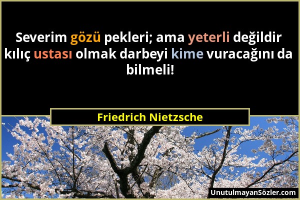 Friedrich Nietzsche - Severim gözü pekleri; ama yeterli değildir kılıç ustası olmak darbeyi kime vuracağını da bilmeli!...