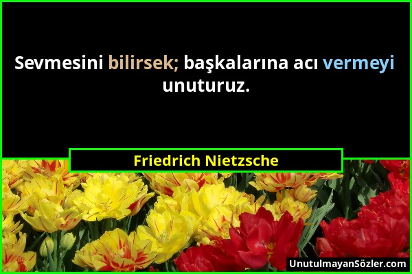 Friedrich Nietzsche - Sevmesini bilirsek; başkalarına acı vermeyi unuturuz....