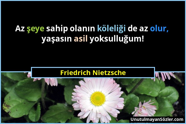 Friedrich Nietzsche - Az şeye sahip olanın köleliği de az olur, yaşasın asil yoksulluğum!...