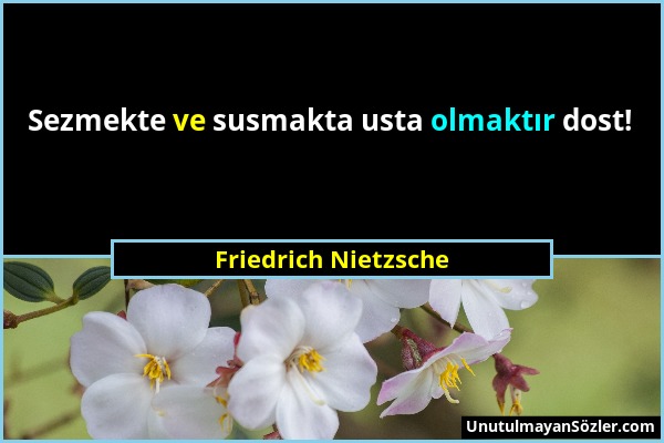 Friedrich Nietzsche - Sezmekte ve susmakta usta olmaktır dost!...