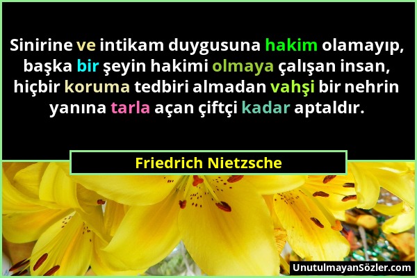 Friedrich Nietzsche - Sinirine ve intikam duygusuna hakim olamayıp, başka bir şeyin hakimi olmaya çalışan insan, hiçbir koruma tedbiri almadan vahşi b...