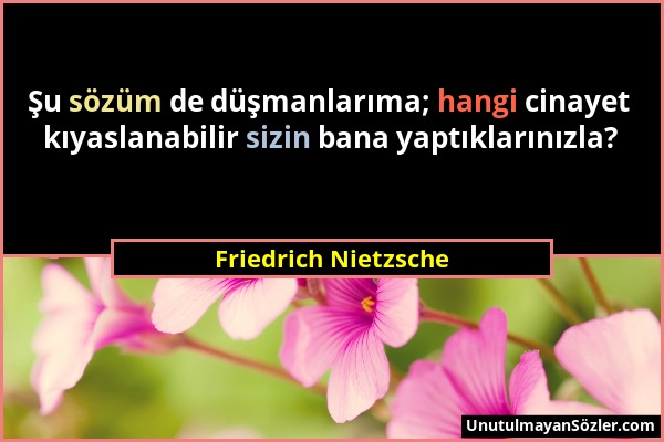 Friedrich Nietzsche - Şu sözüm de düşmanlarıma; hangi cinayet kıyaslanabilir sizin bana yaptıklarınızla?...