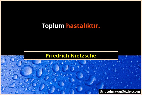 Friedrich Nietzsche - Toplum hastalıktır....