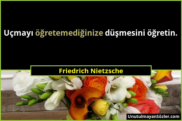 Friedrich Nietzsche - Uçmayı öğretemediğinize düşmesini öğretin....