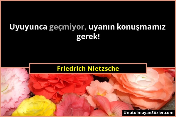 Friedrich Nietzsche - Uyuyunca geçmiyor, uyanın konuşmamız gerek!...