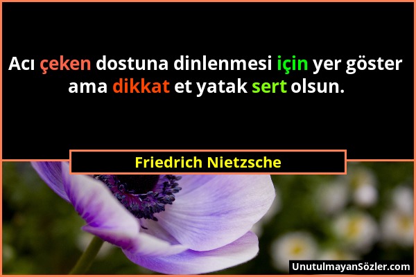 Friedrich Nietzsche - Acı çeken dostuna dinlenmesi için yer göster ama dikkat et yatak sert olsun....