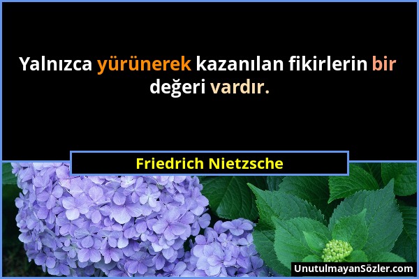 Friedrich Nietzsche - Yalnızca yürünerek kazanılan fikirlerin bir değeri vardır....