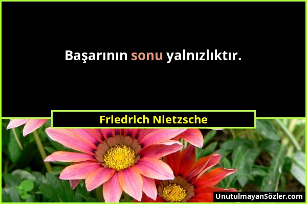 Friedrich Nietzsche - Başarının sonu yalnızlıktır....