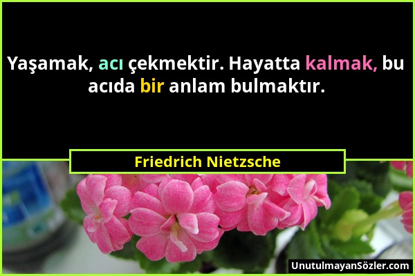 Friedrich Nietzsche - Yaşamak, acı çekmektir. Hayatta kalmak, bu acıda bir anlam bulmaktır....