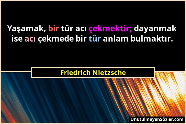 Friedrich Nietzsche - Yaşamak, bir tür acı çekmektir; dayanmak ise acı çekmede bir tür anlam bulmaktır....