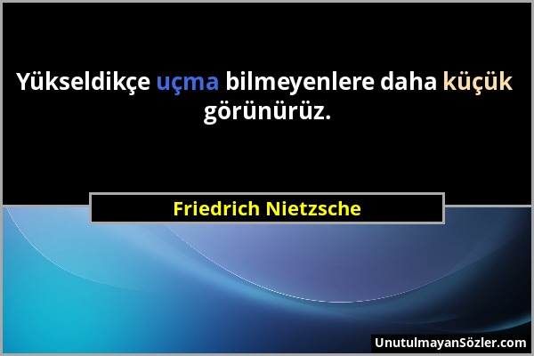 Friedrich Nietzsche - Yükseldikçe uçma bilmeyenlere daha küçük görünürüz....