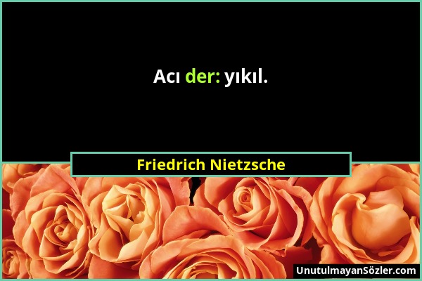 Friedrich Nietzsche - Acı der: yıkıl....