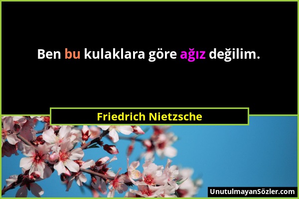 Friedrich Nietzsche - Ben bu kulaklara göre ağız değilim....