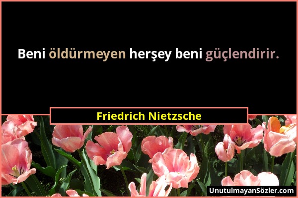 Friedrich Nietzsche - Beni öldürmeyen herşey beni güçlendirir....