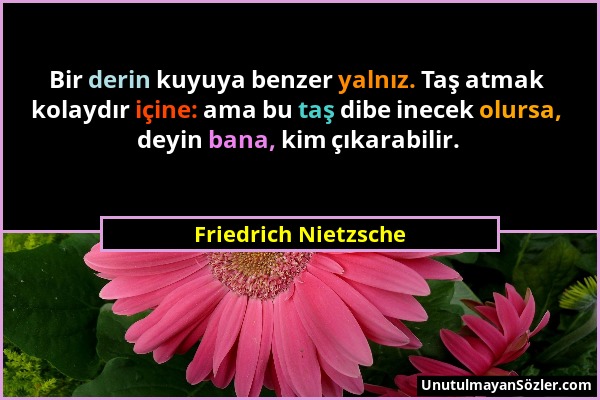 Friedrich Nietzsche - Bir derin kuyuya benzer yalnız. Taş atmak kolaydır içine: ama bu taş dibe inecek olursa, deyin bana, kim çıkarabilir....