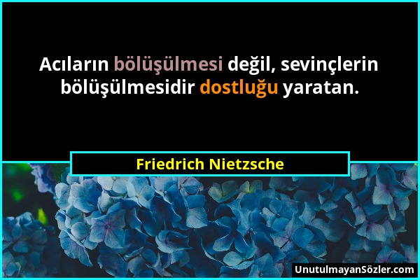 Friedrich Nietzsche - Acıların bölüşülmesi değil, sevinçlerin bölüşülmesidir dostluğu yaratan....