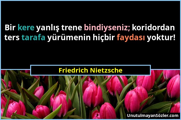 Friedrich Nietzsche - Bir kere yanlış trene bindiyseniz; koridordan ters tarafa yürümenin hiçbir faydası yoktur!...