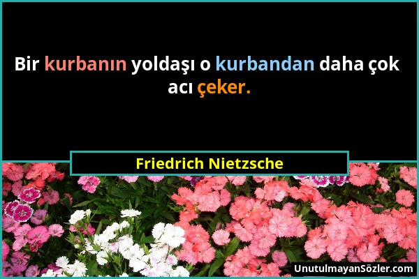 Friedrich Nietzsche - Bir kurbanın yoldaşı o kurbandan daha çok acı çeker....