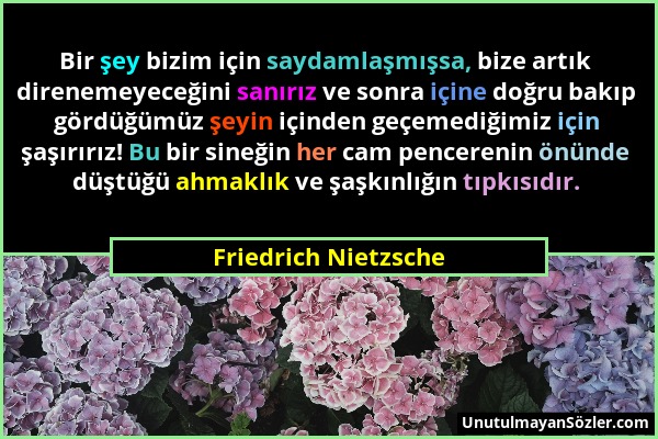Friedrich Nietzsche - Bir şey bizim için saydamlaşmışsa, bize artık direnemeyeceğini sanırız ve sonra içine doğru bakıp gördüğümüz şeyin içinden geçem...