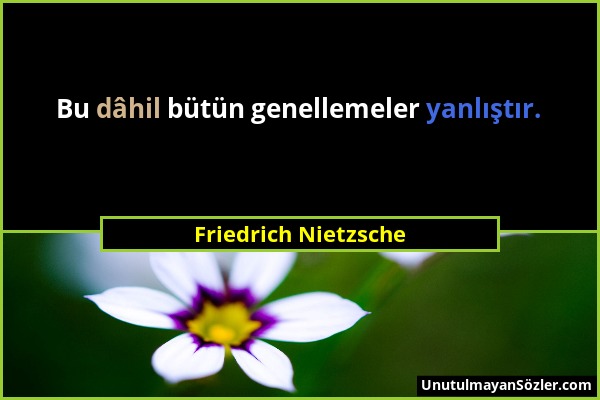 Friedrich Nietzsche - Bu dâhil bütün genellemeler yanlıştır....