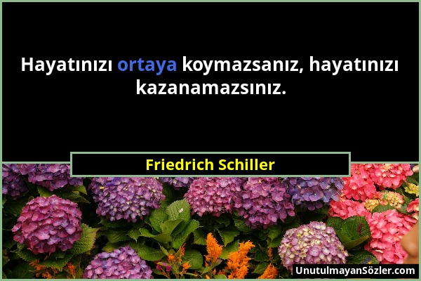 Friedrich Schiller - Hayatınızı ortaya koymazsanız, hayatınızı kazanamazsınız....