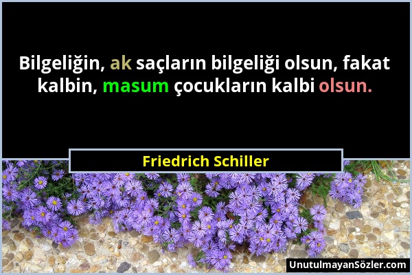 Friedrich Schiller - Bilgeliğin, ak saçların bilgeliği olsun, fakat kalbin, masum çocukların kalbi olsun....