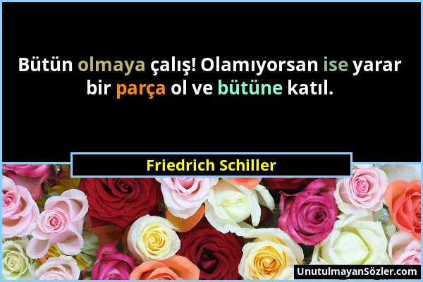 Friedrich Schiller - Bütün olmaya çalış! Olamıyorsan ise yarar bir parça ol ve bütüne katıl....