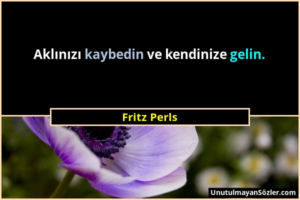 Fritz Perls - Aklınızı kaybedin ve kendinize gelin....