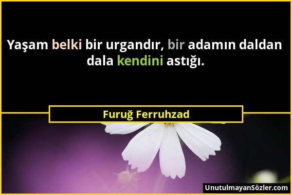 Furuğ Ferruhzad - Yaşam belki bir urgandır, bir adamın daldan dala kendini astığı....