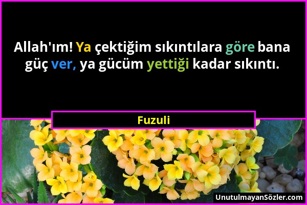 Fuzuli - Allah'ım! Ya çektiğim sıkıntılara göre bana güç ver, ya gücüm yettiği kadar sıkıntı....