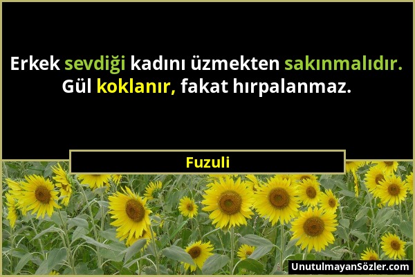 Fuzuli - Erkek sevdiği kadını üzmekten sakınmalıdır. Gül koklanır, fakat hırpalanmaz....