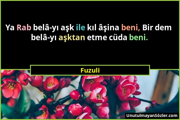 Fuzuli - Ya Rab belâ-yı aşk ile kıl âşina beni, Bir dem belâ-yı aşktan etme cüda beni....