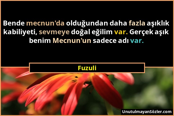 Fuzuli - Bende mecnun'da olduğundan daha fazla aşıklık kabiliyeti, sevmeye doğal eğilim var. Gerçek aşık benim Mecnun'un sadece adı var....