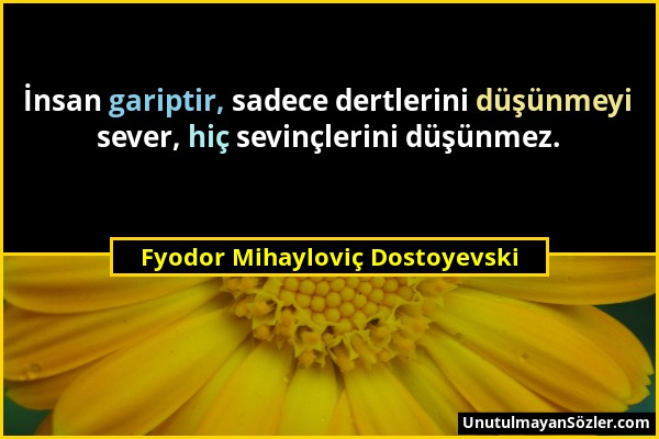 Fyodor Mihayloviç Dostoyevski - İnsan gariptir, sadece dertlerini düşünmeyi sever, hiç sevinçlerini düşünmez....