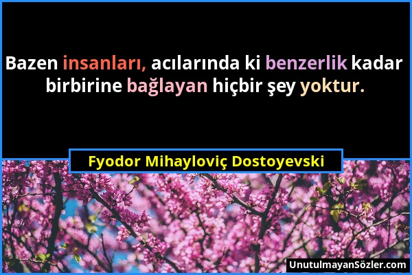 Fyodor Mihayloviç Dostoyevski - Bazen insanları, acılarında ki benzerlik kadar birbirine bağlayan hiçbir şey yoktur....
