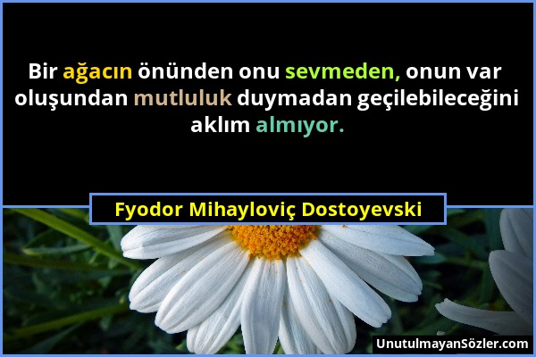 Fyodor Mihayloviç Dostoyevski - Bir ağacın önünden onu sevmeden, onun var oluşundan mutluluk duymadan geçilebileceğini aklım almıyor....