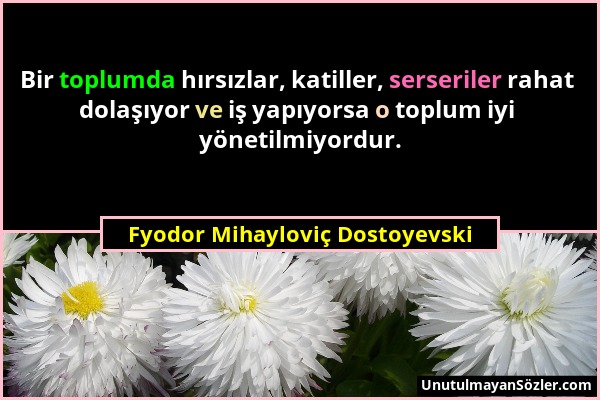 Fyodor Mihayloviç Dostoyevski - Bir toplumda hırsızlar, katiller, serseriler rahat dolaşıyor ve iş yapıyorsa o toplum iyi yönetilmiyordur....